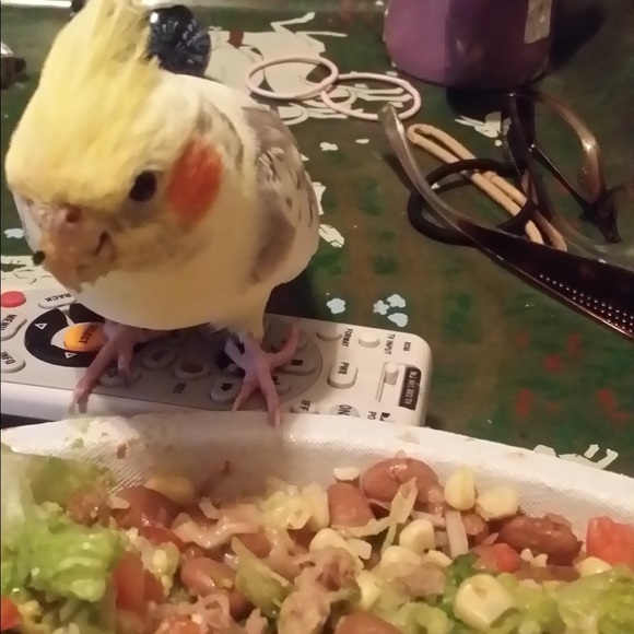 I Can’t Always Respond Quickly, I Babysit - Picture 2 of 5